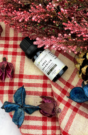 Pure Rose Geranium Essential Oil